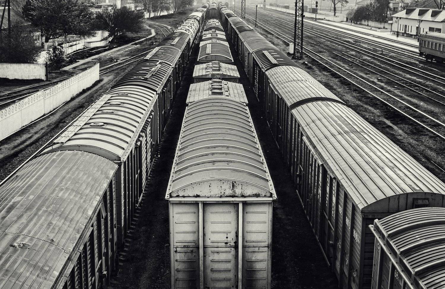 , Анатолий Щербак