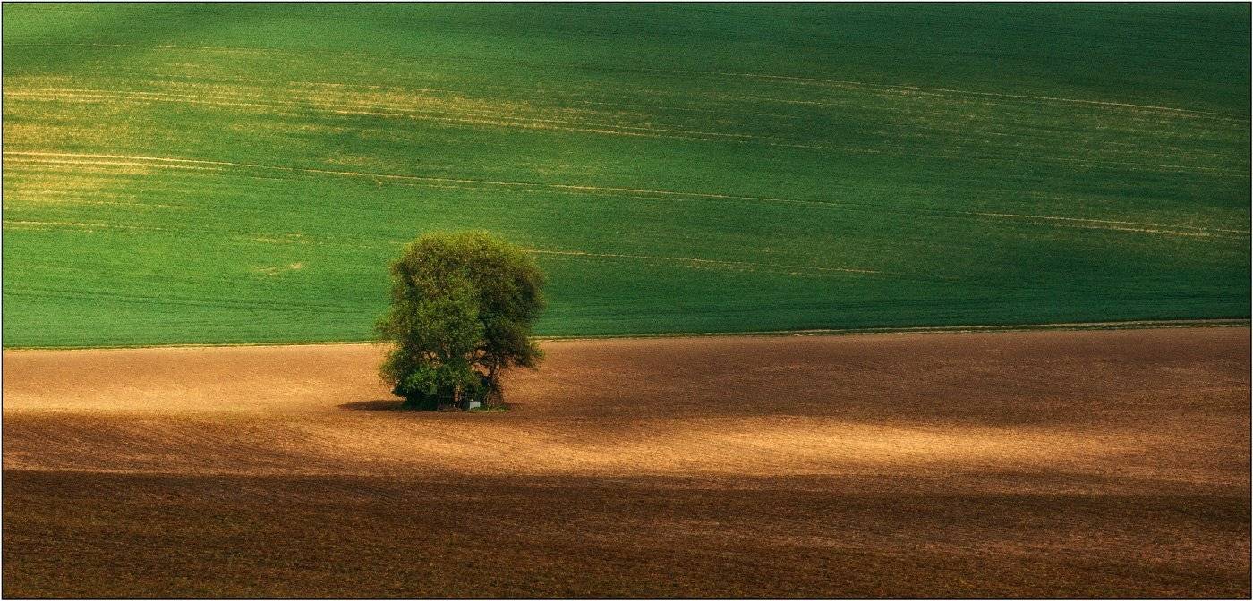 , Рудченко Анатолий