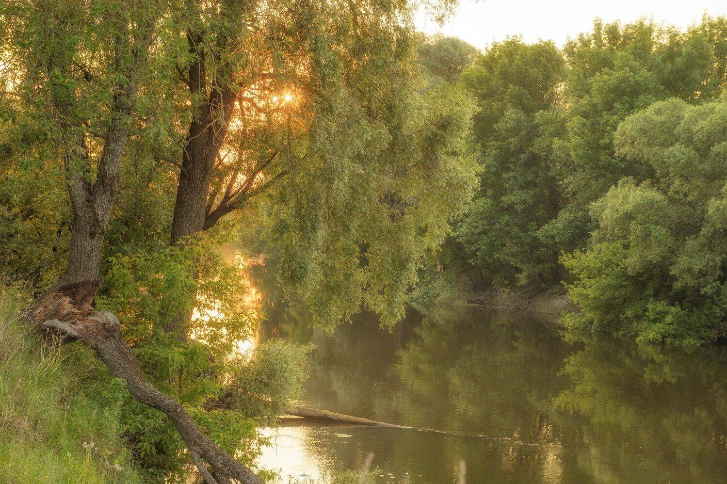 Берег, Вечер, Закат, Июнь, Красота, Лето, Отражение, Пейзаж, Природа, Река, Россия, Солнце, Юлия Лаптева