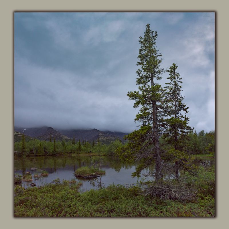 В Хибинах. фото превью