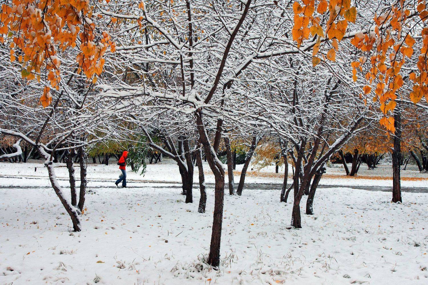 , Рудик Валерий