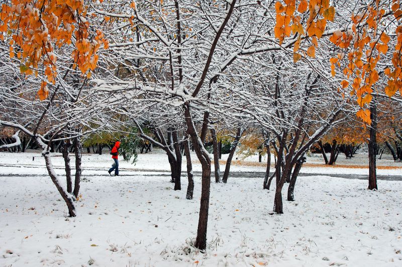 Осень фото превью