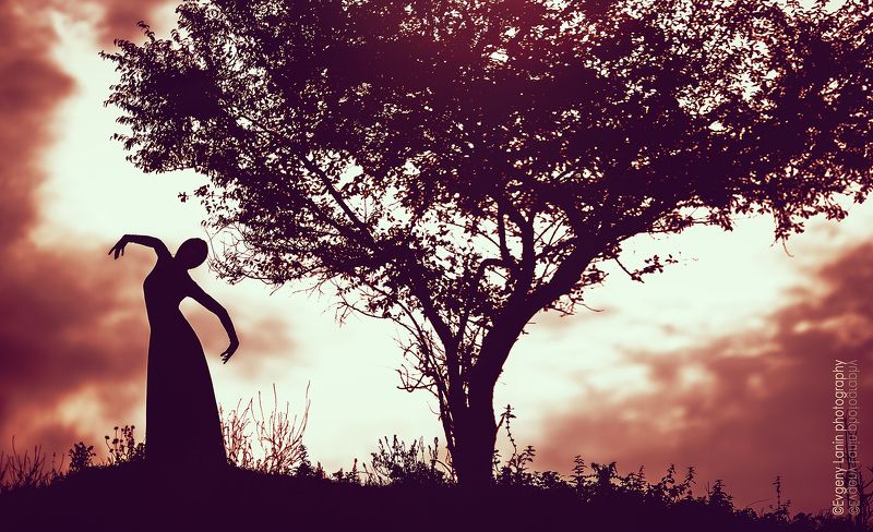 силуэт, изгибы, чувственность, небо, фотосессия, балерина, фотосет, тело, фотографставрополь, фотографкраснодар, фотографростов, фотографпятигорск, фотосессия, фотографмосква, пятигорск, fashionphotography, ballerina, artistic, sensuality Силуэт фото превью