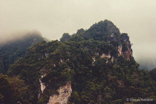 Nature (free photos)