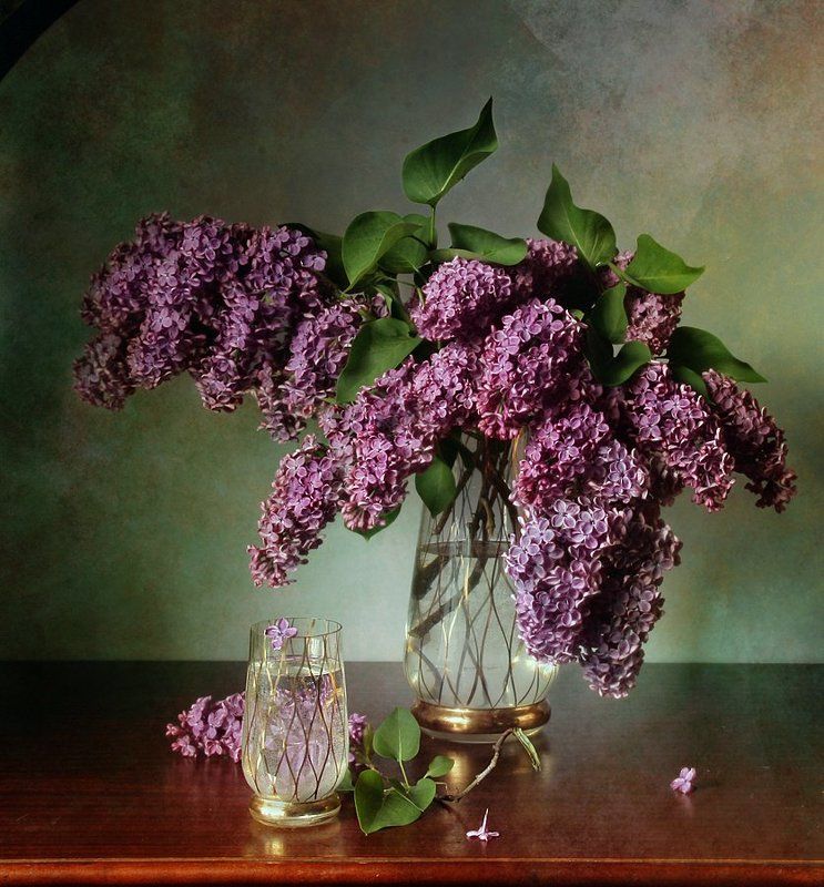 Натюрморт, Сирень, Фотонатюрморт Сиреневый туман фото превью
