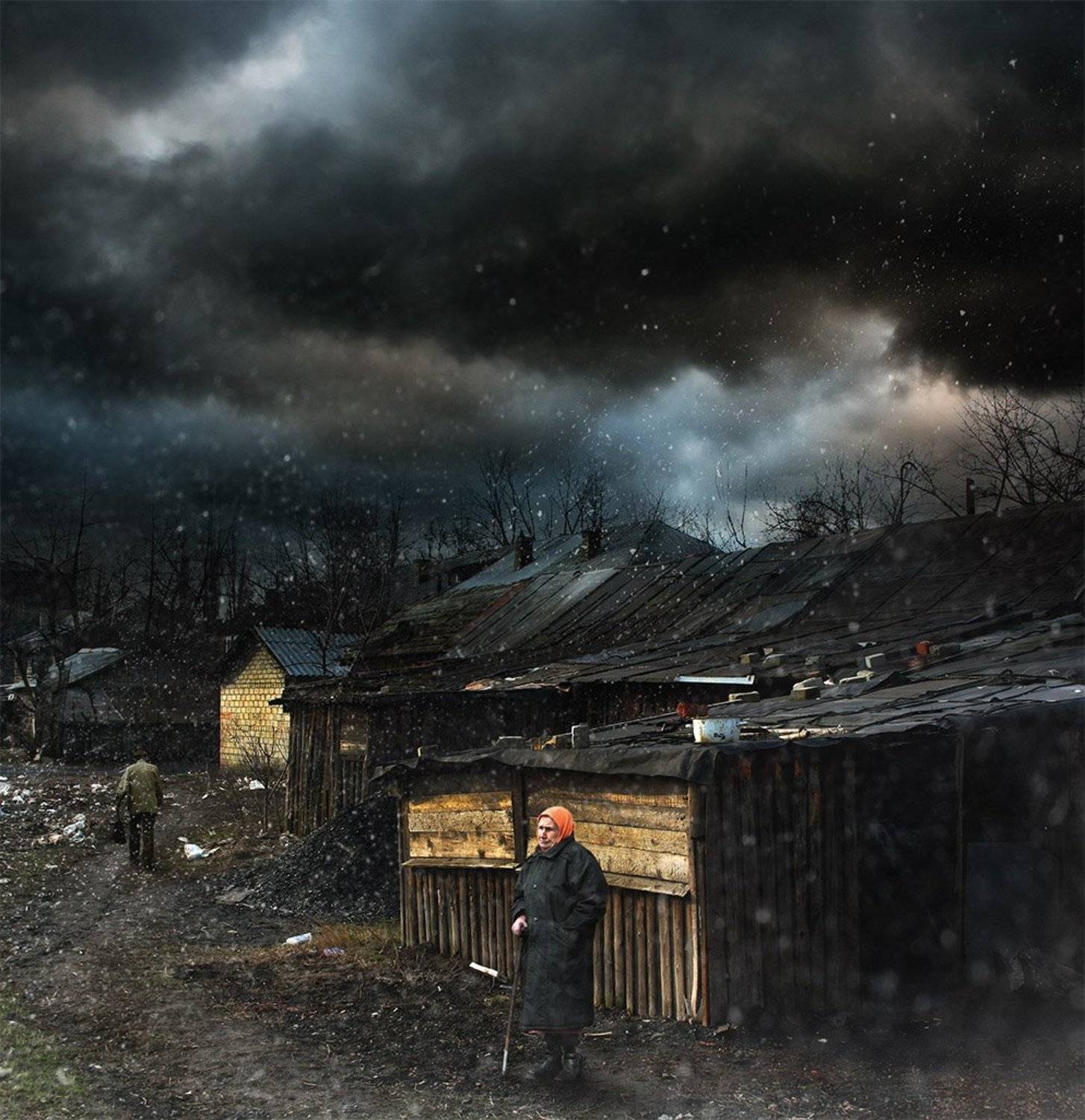 , Виктор Поздняк