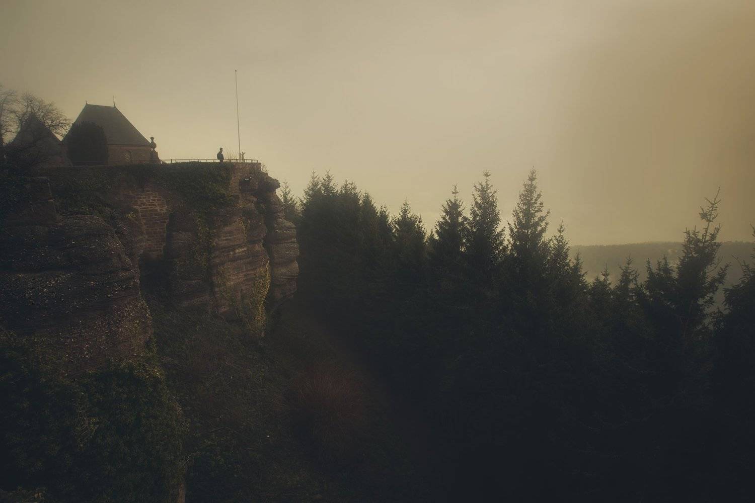fog morning forest alone france lanscape land silent strasbourg Church otrott Mont-Sainte-Odile, Nicolai