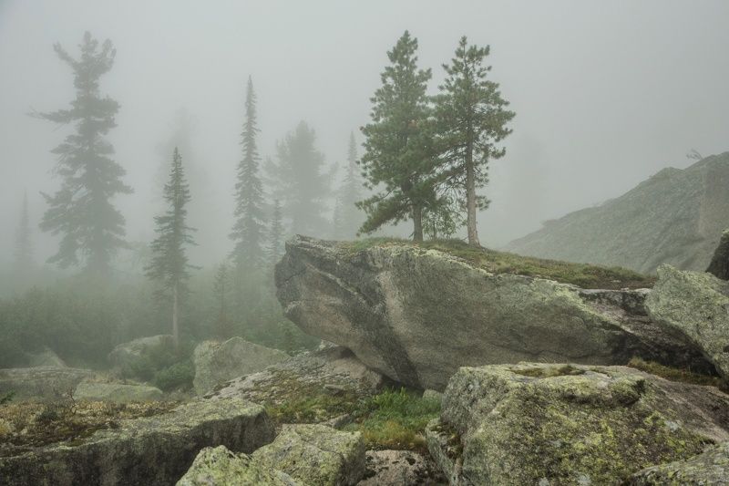 две сестры фото превью