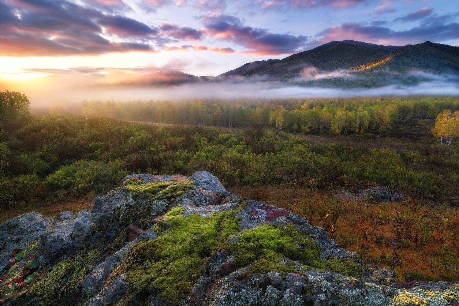 алтай, утро, заря, восход, горы, лес, скалы, туман, свет, тучи, облака, мох, камни, тайга, Павел Силиненко