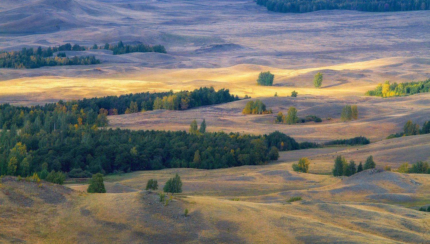 , Александр Сысуев