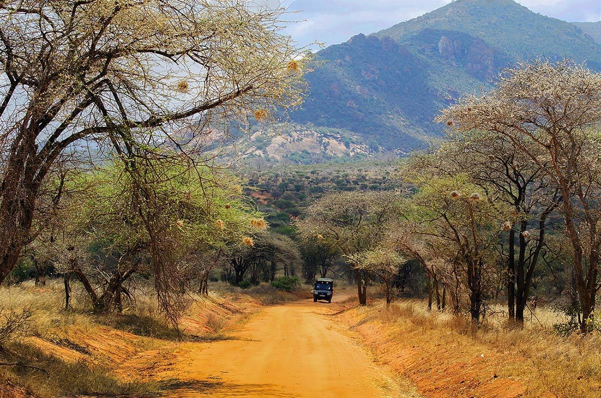 Кения, Африка, машина, дорога, песок, оранжевый, Марина Мудрова