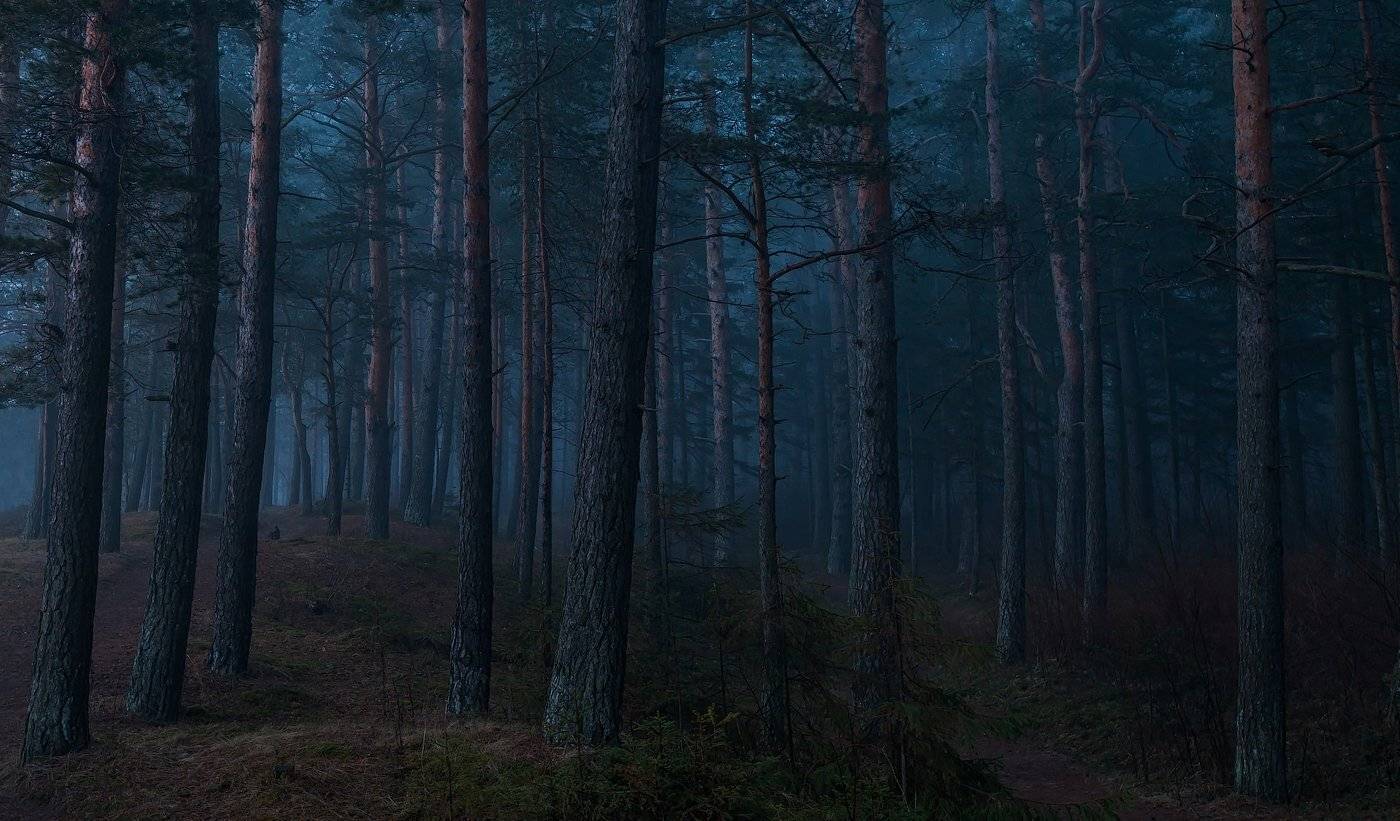 Атмосфера, Ключенков, Лес, Нарва, Пейзаж, Эстония, Kljuchenkow Aleksandr