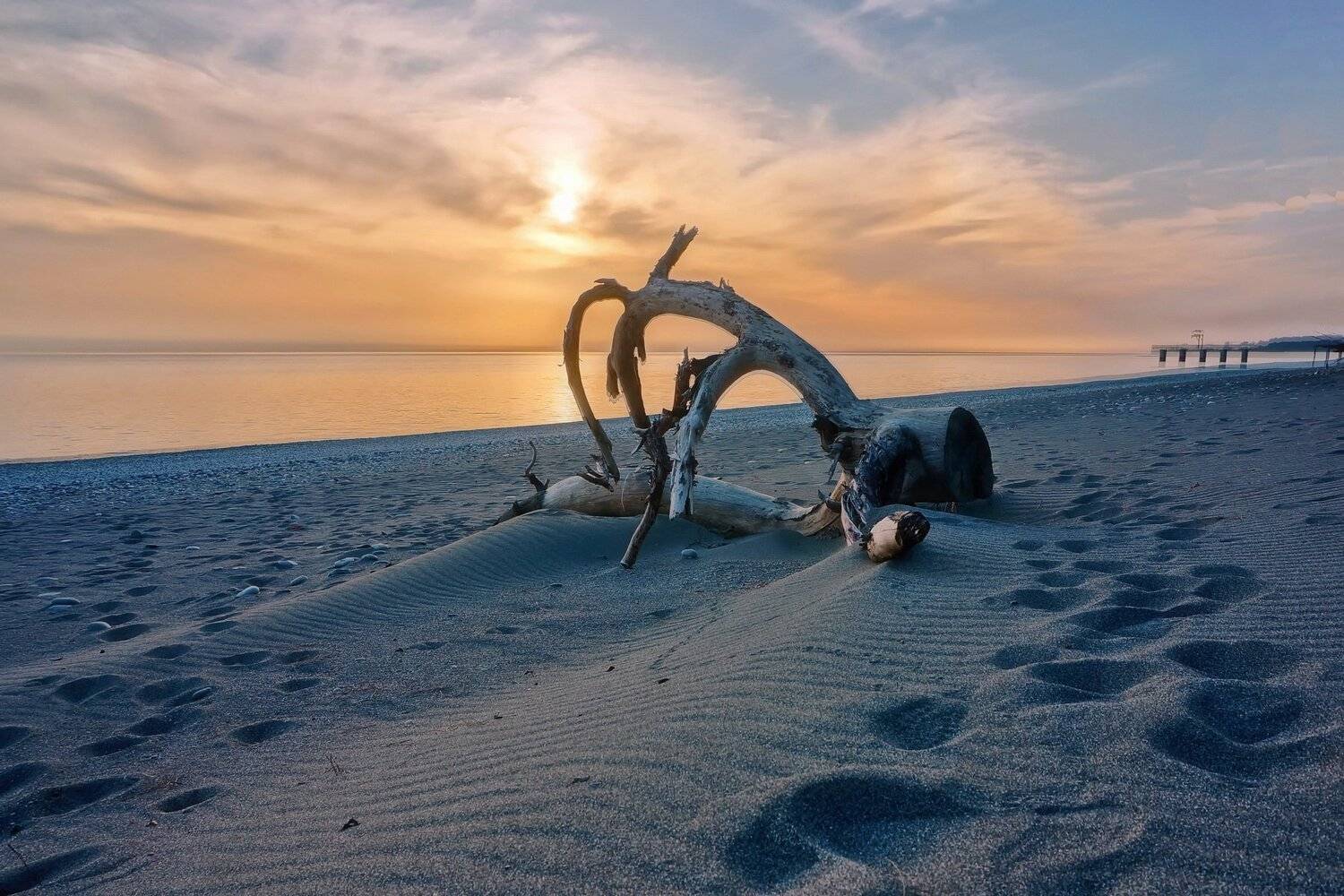 закат коряга берег, Евгений Никишин