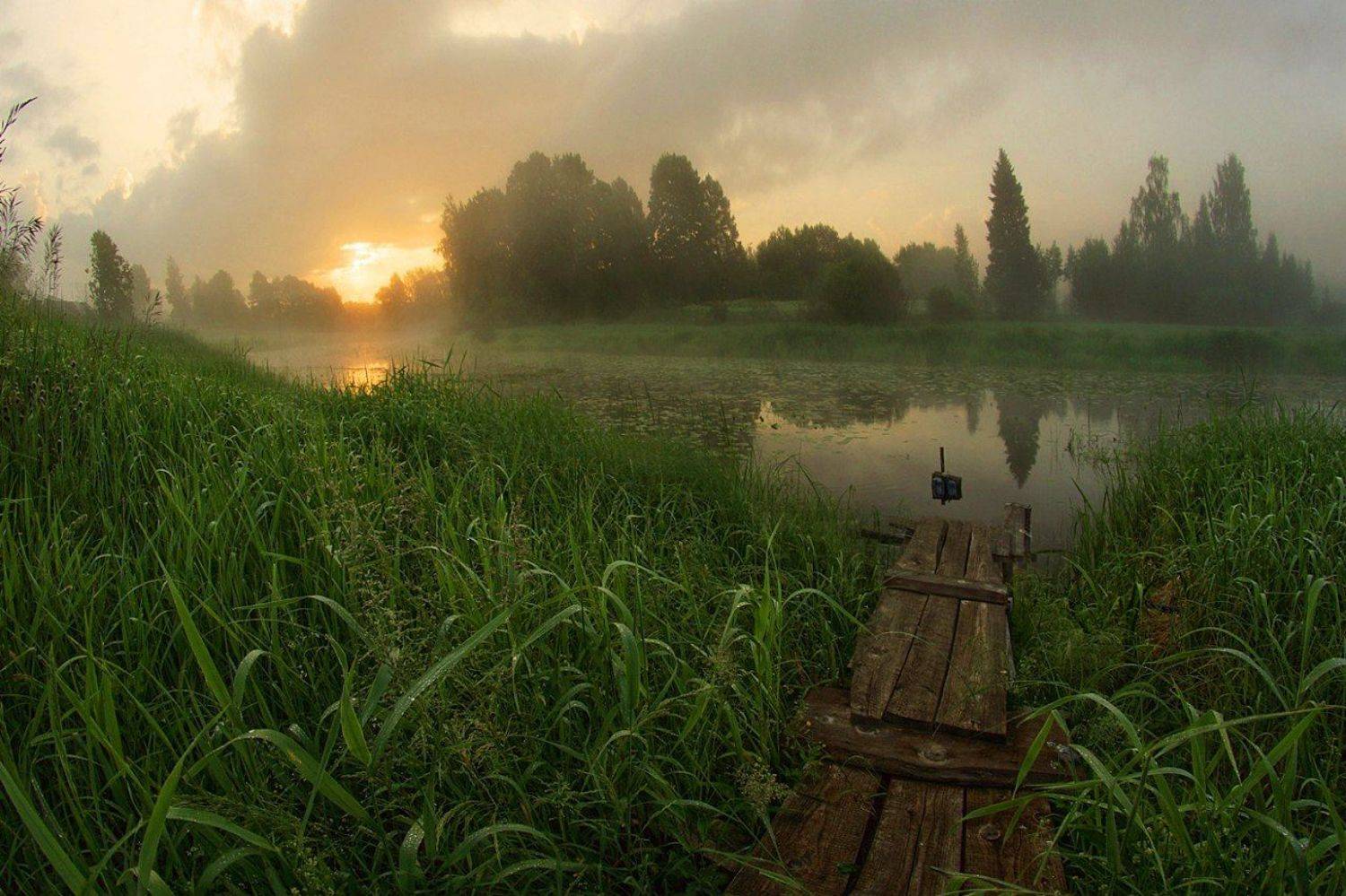 , Петр Косых