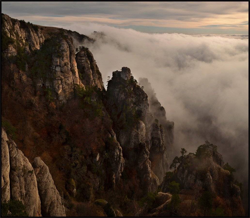 , Владимир Метцгер