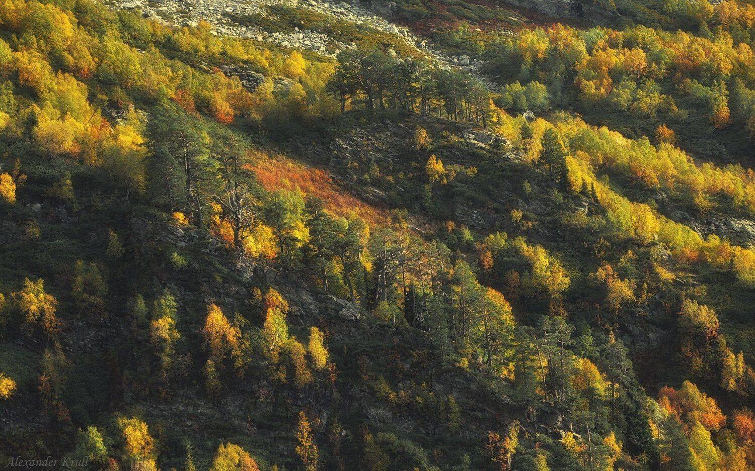 Кавказ, Кчр, Александр Круль