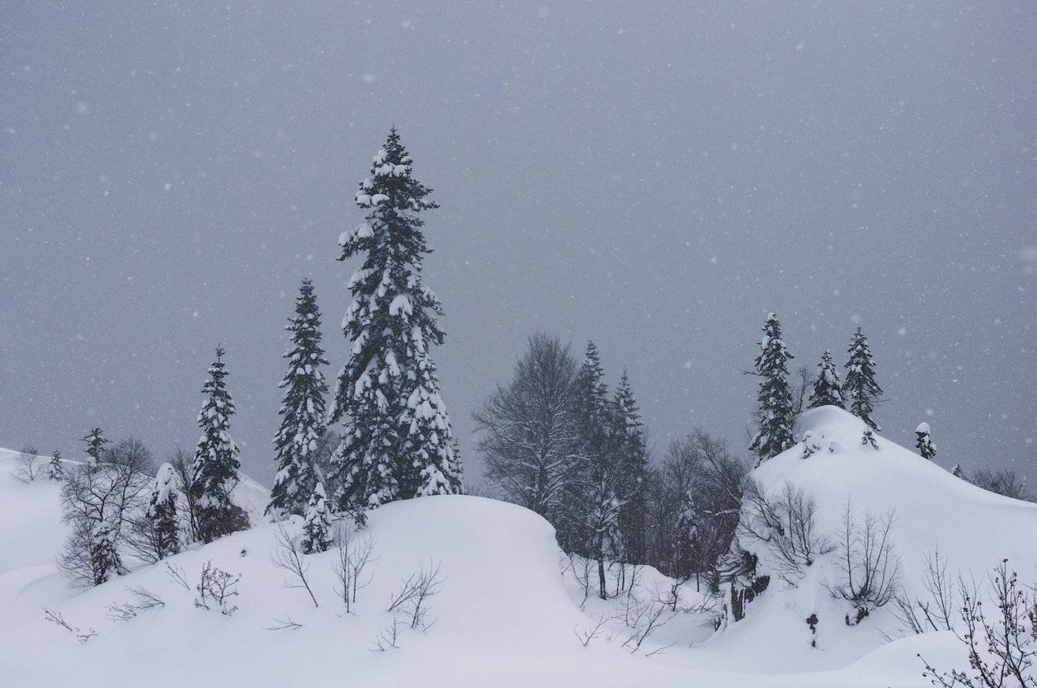 горы, кавказ, зима, снег, mountains, winter, snow, Дмитрий