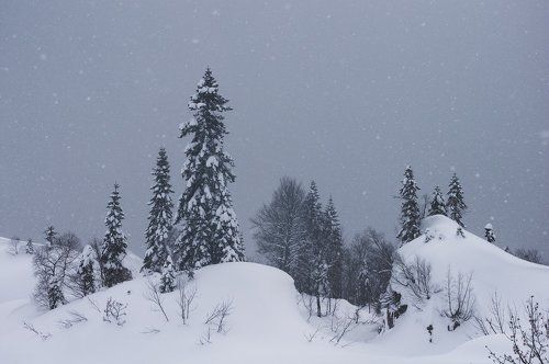 Снежное царство