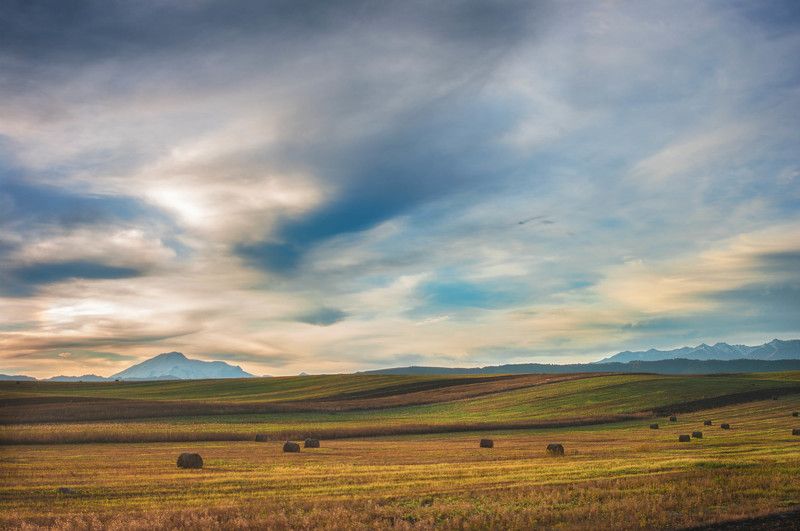 Альпийские луга Кавказа фото превью