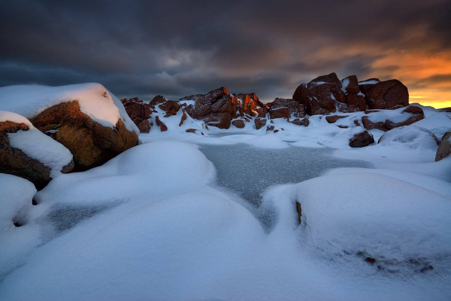 , Максим Евдокимов ( www.wildphotorus.ru )