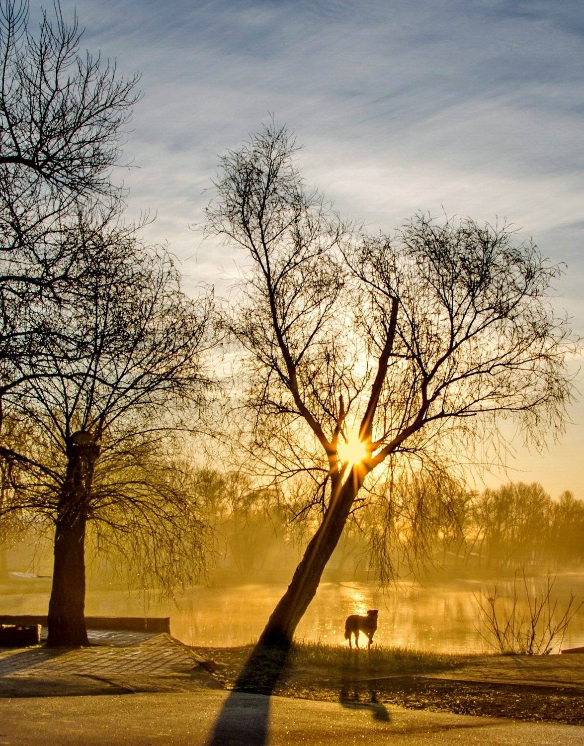 , Валерий Наумов