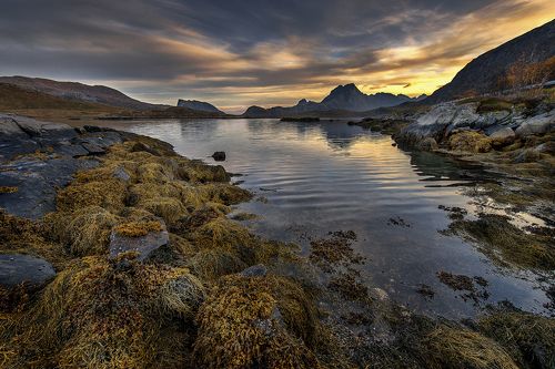 Lofoten
