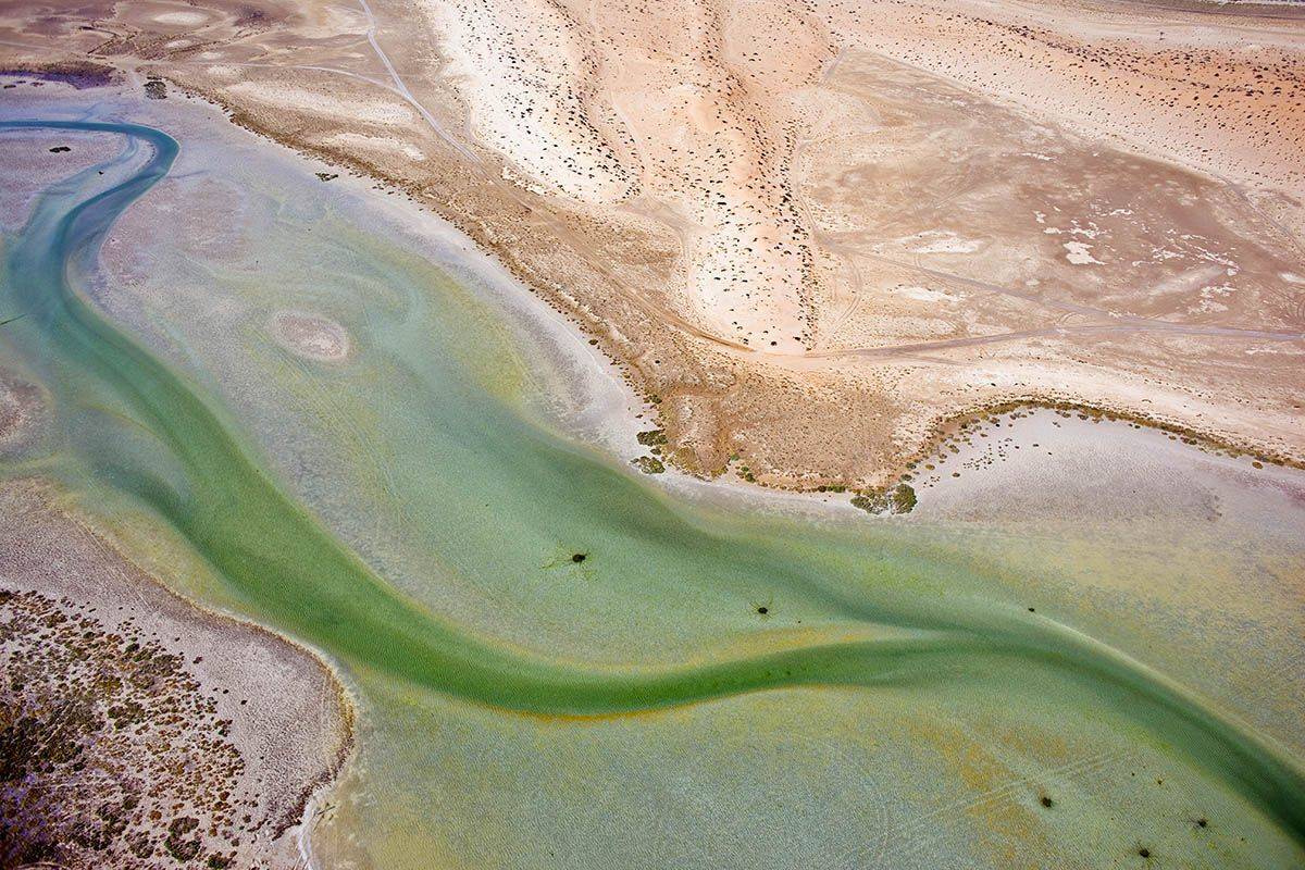ОАЭ, Эмираты, река, пустыня, аэро, aerial, Борис Резванцев