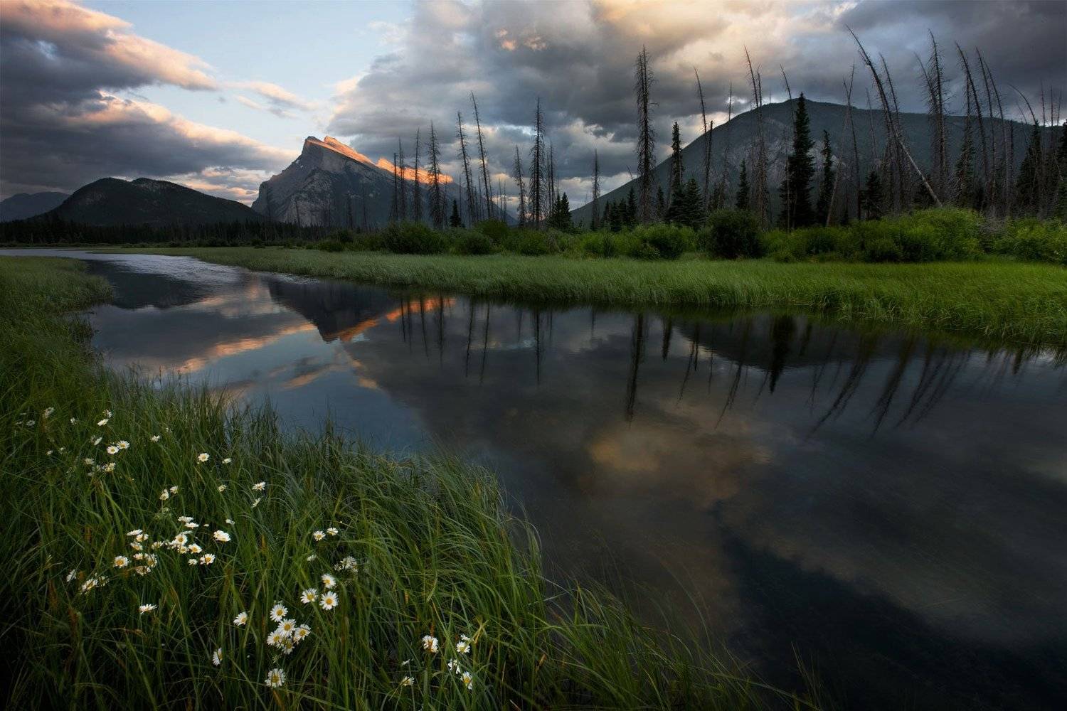 , Vladimir Kushnarev