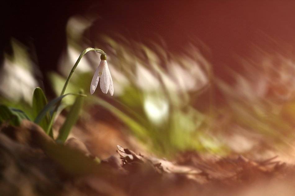 , Иваненко Светлана