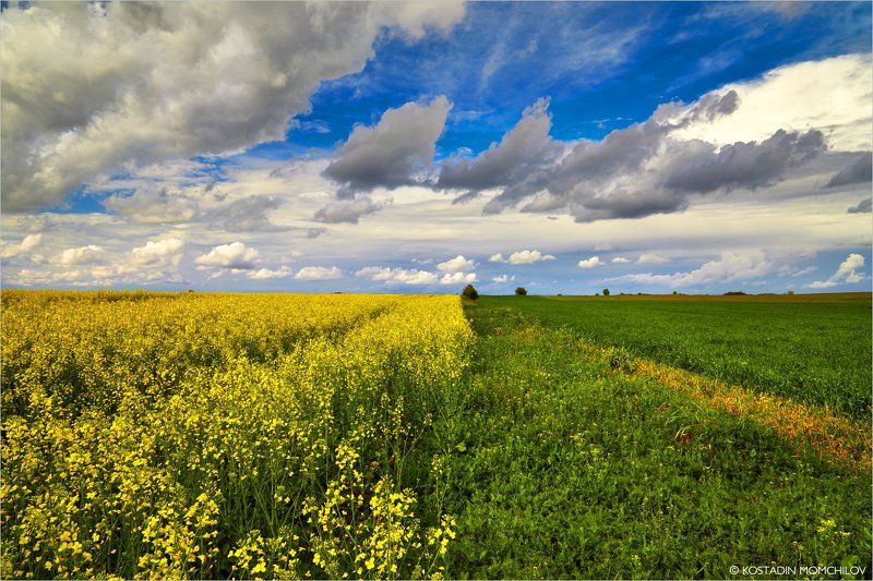 Spring Colours фото превью