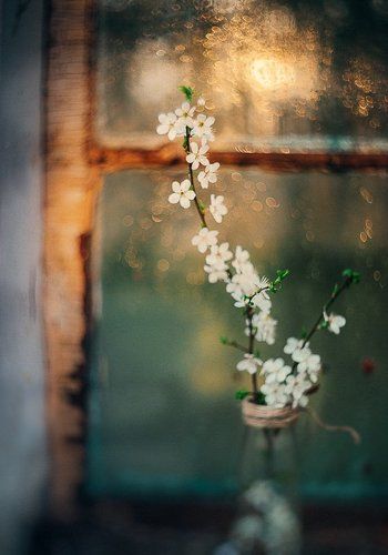 Там, за окном, весна...