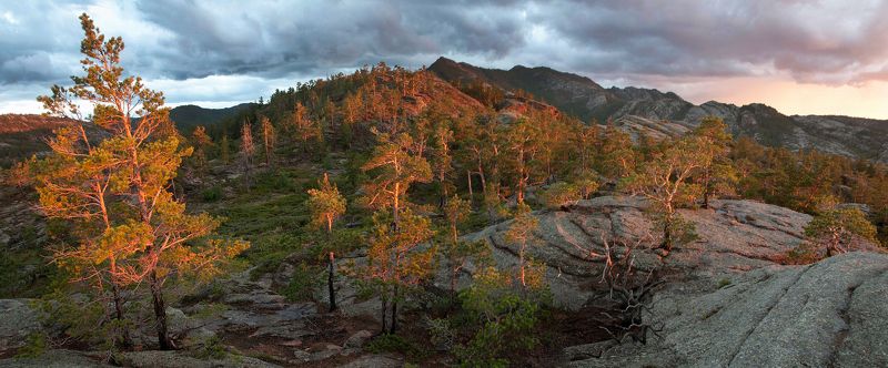 Казахстан. горы. Каркаралинск.  фото превью