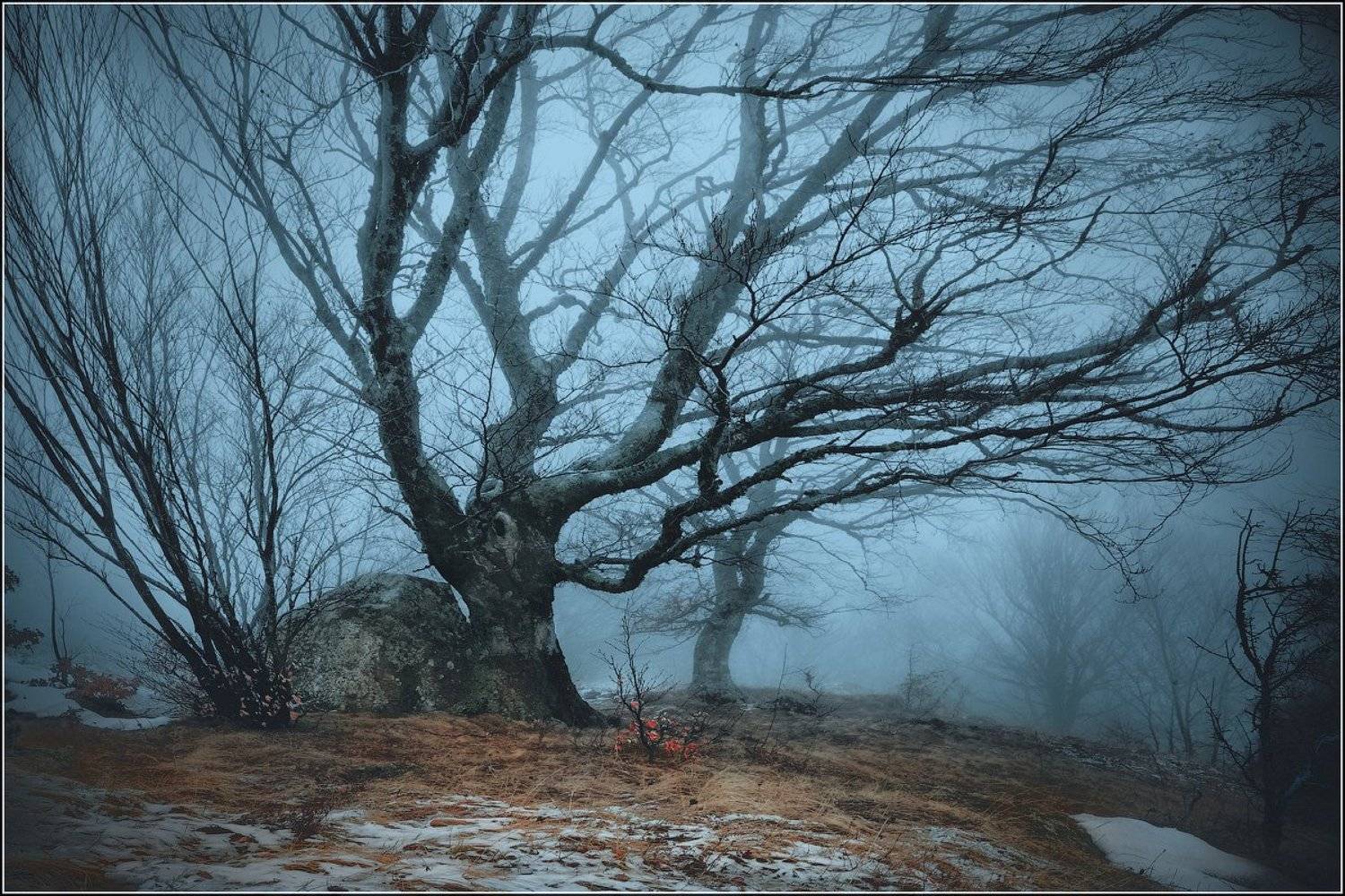 , Валерий Шейкин