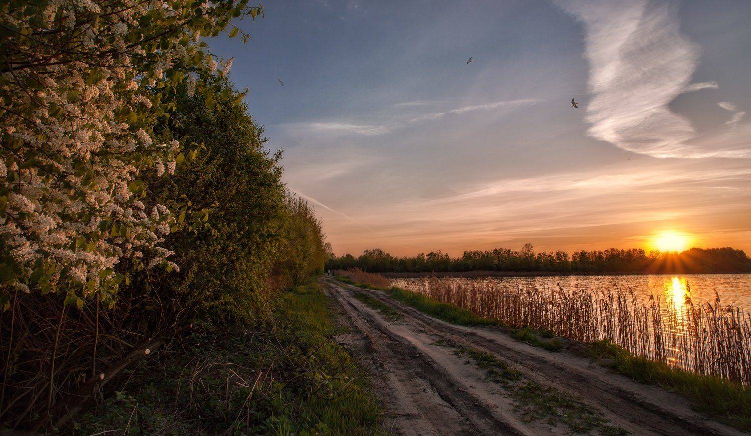 Подмосковье, Купавна, Май, Андрей Леонидович