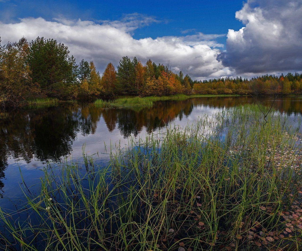 Autumn, Коми, Осень, Печора, Север, Игорь Подобаев