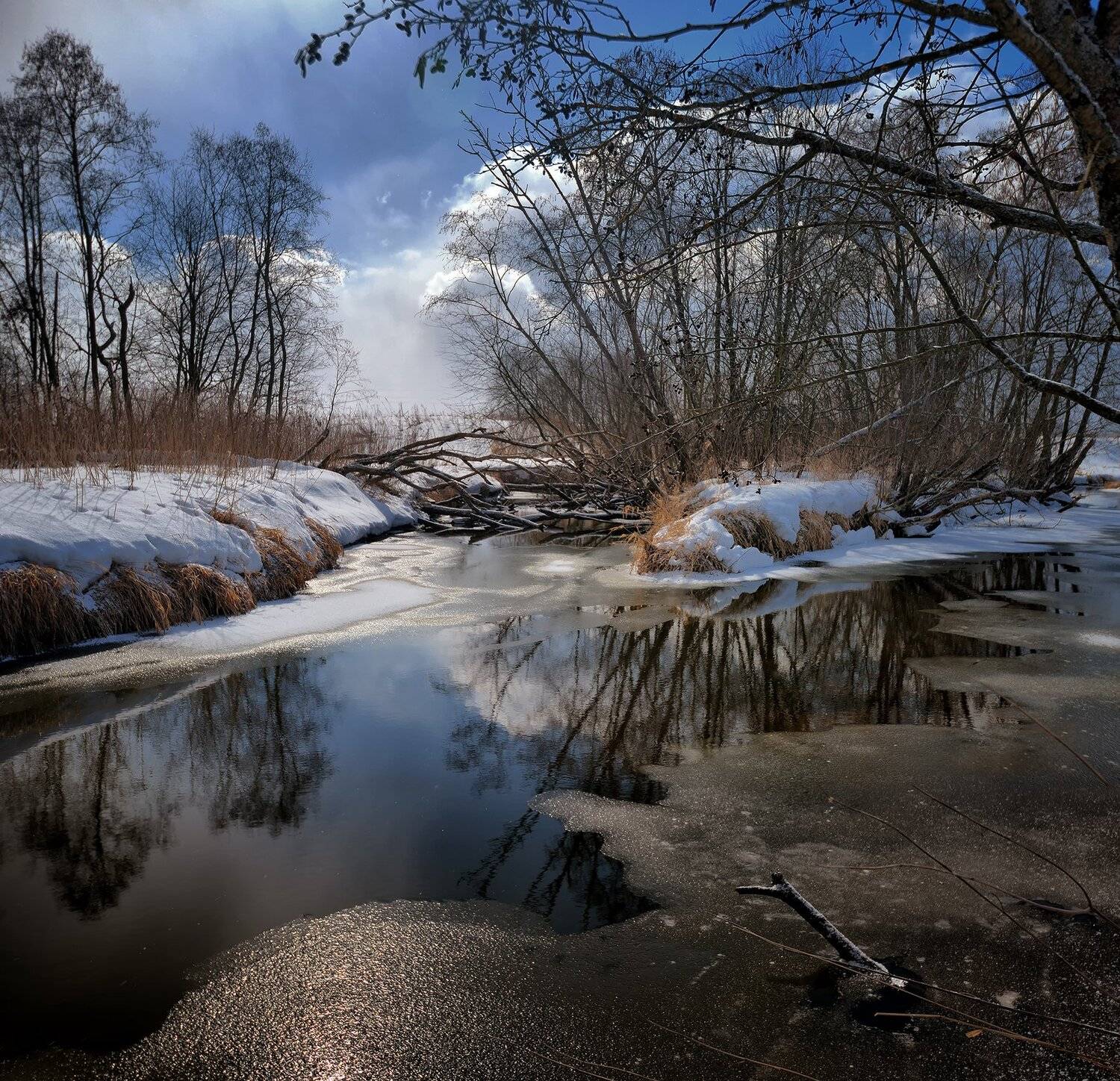 Nikon d600, Весна, Пейзаж, Природа, Река, Алексей Никонов