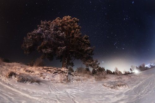 Пеновские ночи