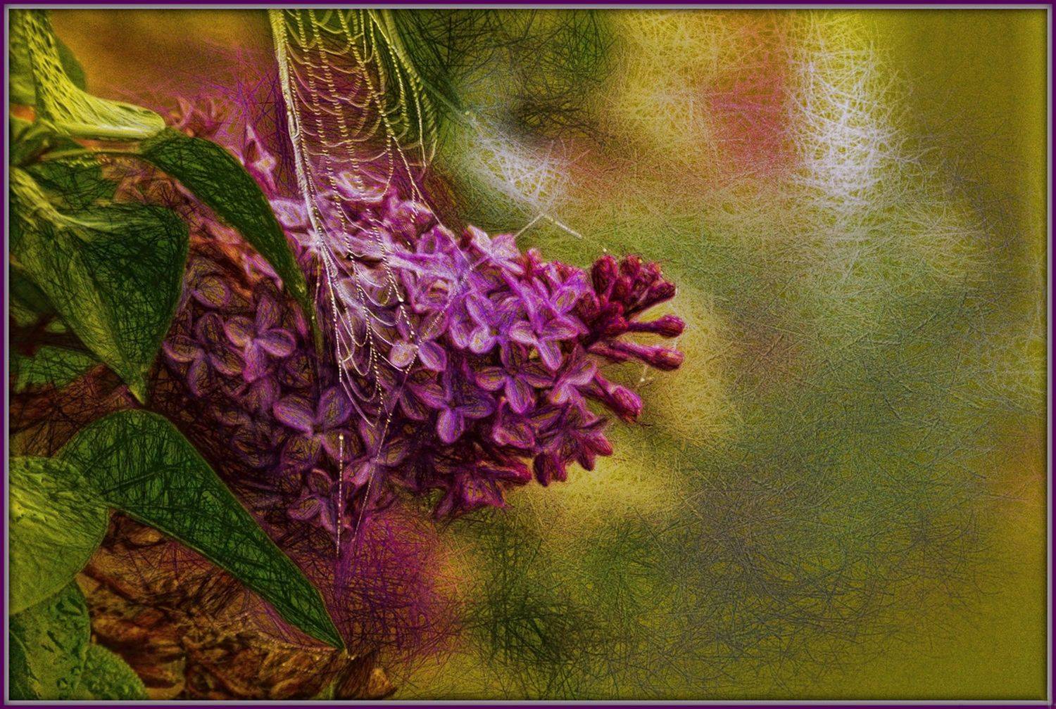 стилизация, обработка фото, фш, сирень, цветы, стиль, арт, фото, графика,, Лидия Киприч