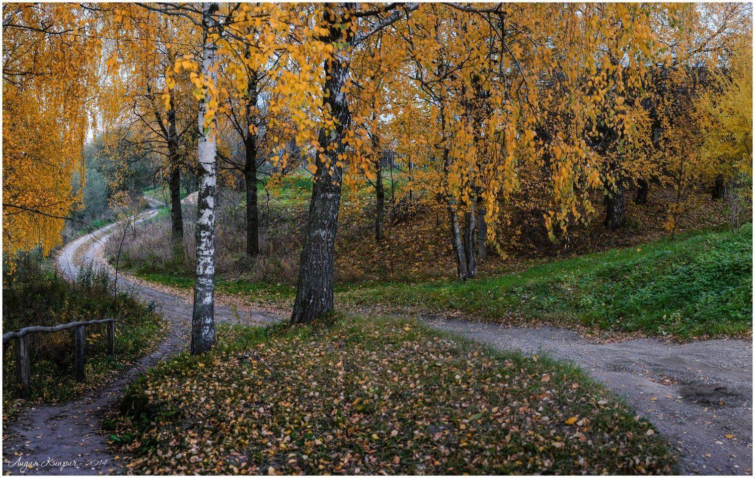 , Лидия Киприч