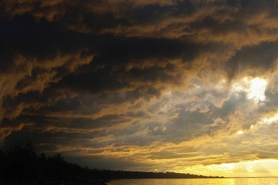 , Ольга Свистунова