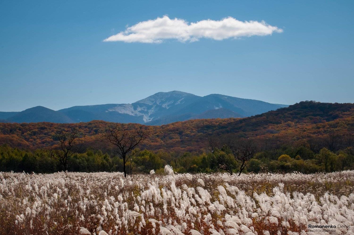 , Романенко Денис