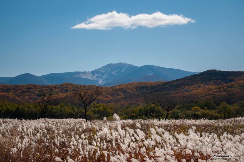 *** фото превью