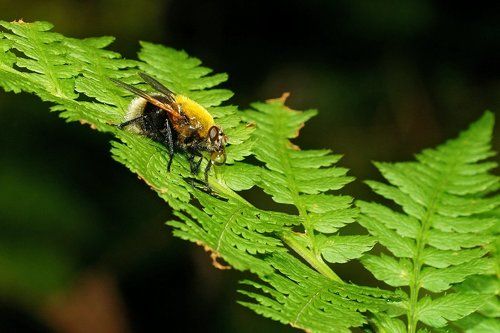 Утрений моцион! 