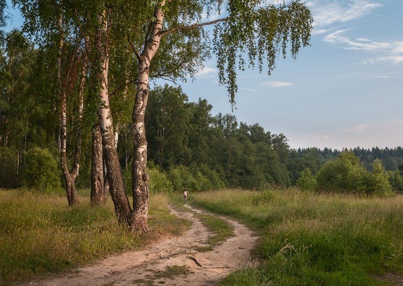 Девушка, Дорога, Лето Летними дорогами фото превью