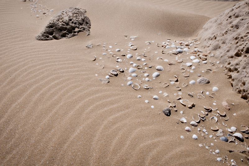 Песок Каспийского моря. фото превью