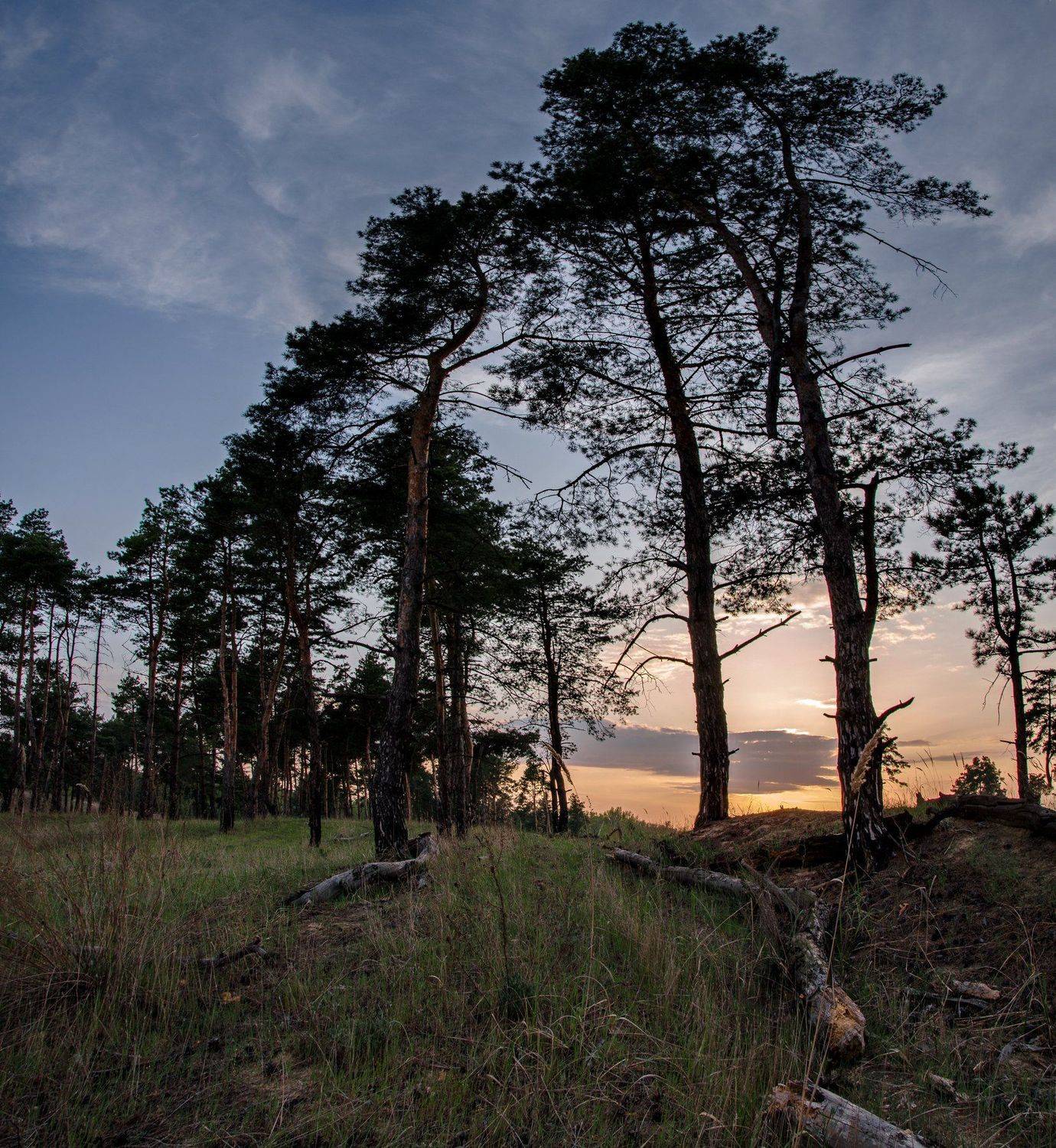 , Валерий Наумов