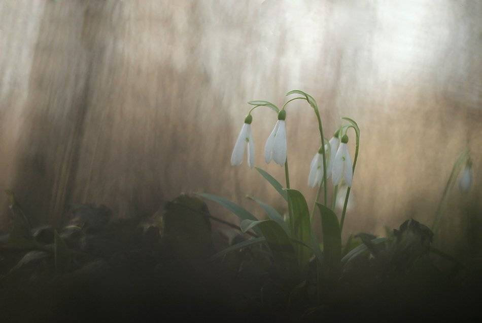 , Иваненко Светлана