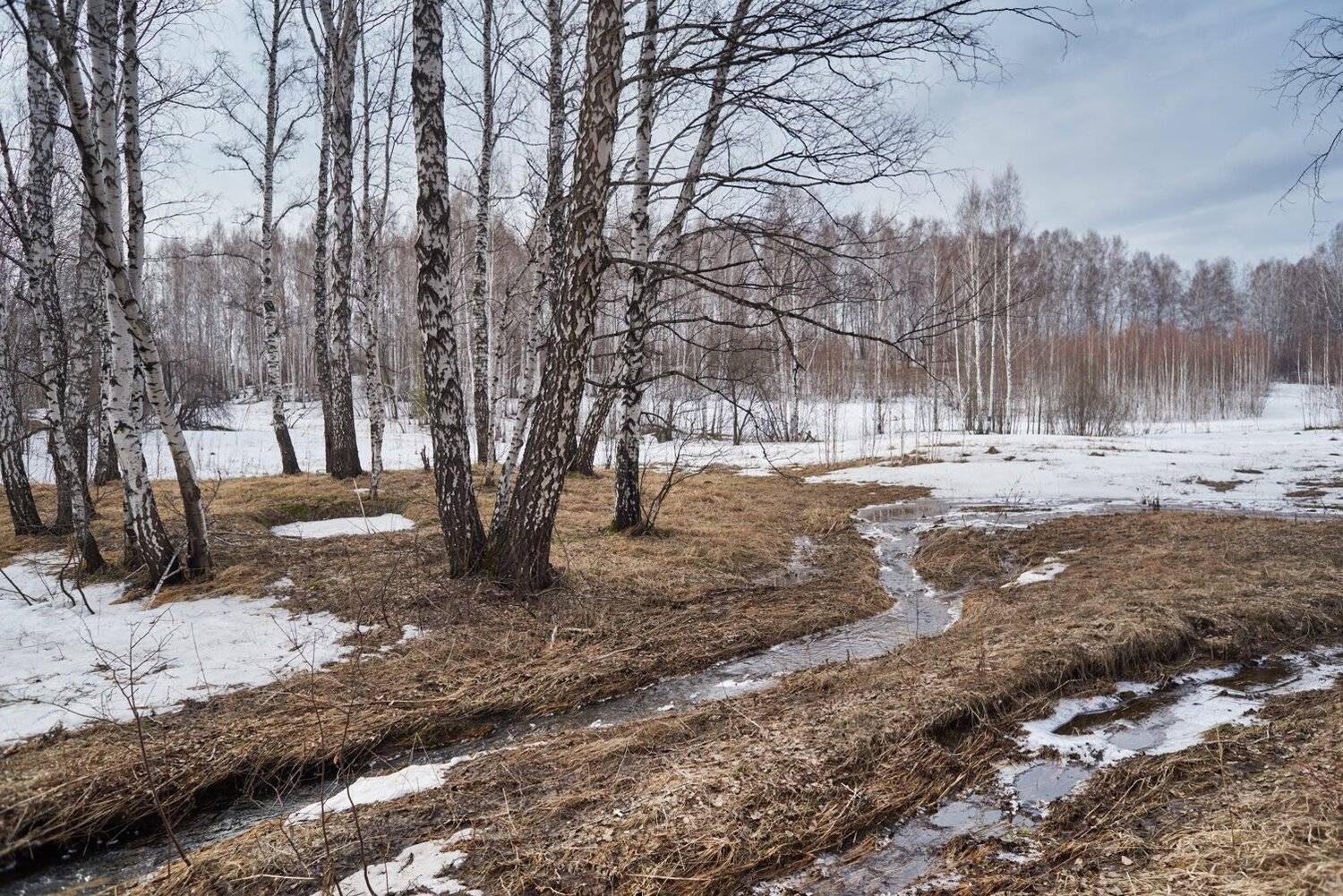 , Сергей Романчук