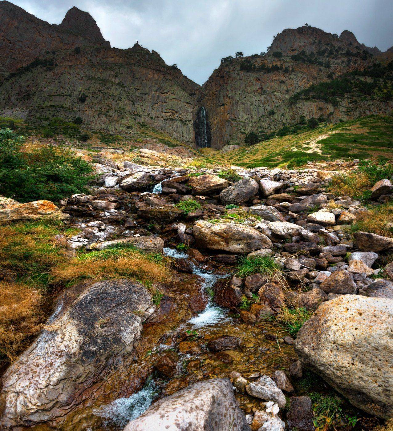 , Елена Брежицкая