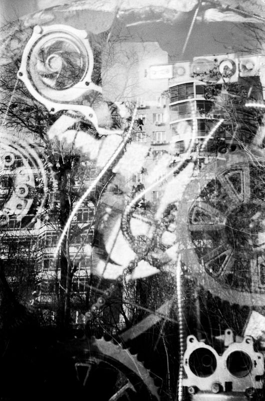 #koshkinotime #sosna #b\\w #analog Механика города фото превью